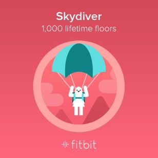 1000 floors skydiver
