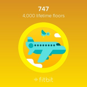 4,000 Floors 747