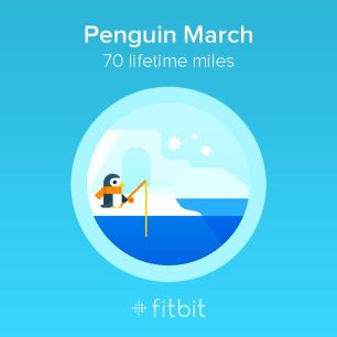 70 miles Penguin March